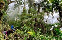 The Native Expedition - Sierra Nevada (4 days path Of Waterfalls)