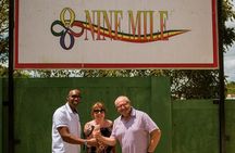  Bob Marley Nine Mile and Dunn's River Falls Tour From Montego Bay 
