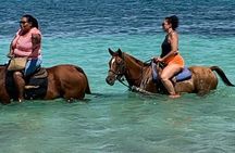 Horseback Riding from Montego Bay