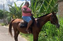 Private Horseback Riding from Ocho Rios with Guide