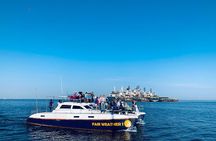 Marine Dolphin Seal Cruise
