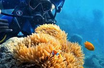 Scuba Diving For Beginners Or Non Swimmers