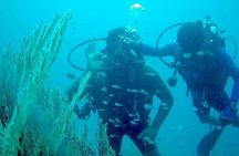 Scuba Diving For Beginners Or Non Swimmers