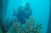 Boat Scuba Diving at Neil Island