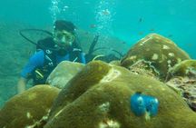 Boat Scuba Diving at Neil Island
