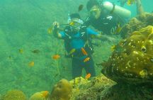 Boat Scuba Diving at Neil Island