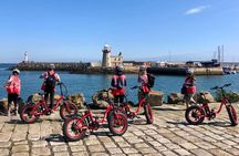 Dublin Panoramic e-Bike Tour with Howth Adventures