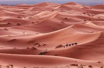 3-Day Desert Experience from Marrakech