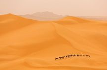 Shared 3 days tour From Marrakesh to Fes via Merzouga desert
