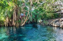 MATERUNI waterfalls, coffe tour & kikuletwa hotsprings