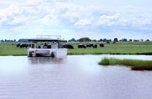 Chobe River Game Cruise