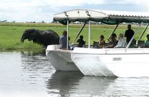 Sunset Cruise on Chobe River with Hotel Pickup from Kasane