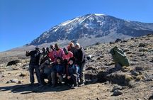 Kilimanjaro climbing 7 days lemosho route 
