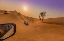 Premium Sundowner Red Dunes & Camel Safari with BBQ Dinner
