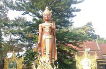 Chiang Mai Private Tour with Tea Plantation, Karen Village, Doi Suthep