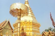 Chiang Mai Private Tour with Tea Plantation, Karen Village, Doi Suthep