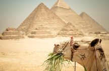 Camel Ride around the Pyramids During Sunrise Or Sunset