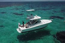 Private Charter 34ft Express Cruiser Stingay City Reef Snorkeling