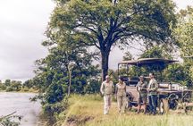 Game Drive in the Zambezi National Park - Victoria Falls