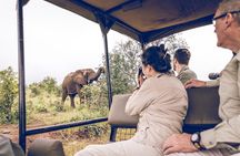 Game Drive in the Zambezi National Park - Victoria Falls