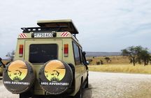 06 Days, 05 Nights Safari To Tarangire, Lake Manyara, Serengeti And Ngorongoro