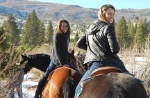 Horseback Riding Adventure from Reno