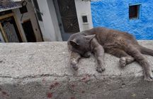 Tangier Walking Private Customized Tour