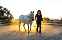 Retreat with Horses