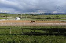 Retreat with Horses