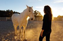 Retreat with Horses