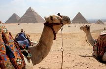 Cairo: 2 Half Days Driver & Guide Giza Pyramids The Museum Sakkara Memphis,