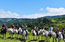 Monteverde Cloud Forest Horseback Riding