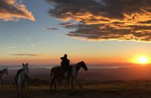 Monteverde Cloud Forest Horseback Riding