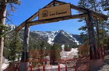 Mount Charleston Tour 