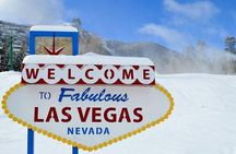 Mount Charleston Tour 
