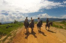 Horse Lesson+Riding+Wat Tonkwen wooden temple.Chiangmai