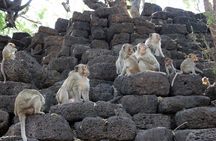 Visit of Lopburi, the monkey's city, from Bangkok with your English-speaking guide