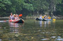 Khao Sok National Park Jungle Safari Full Day Tour from Phuket