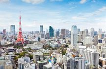 Tokyo 6hr Private Tour with Government-Licensed Guide