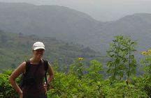 The backpackers trail to Elephant Spine – Knuckles