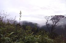 The backpackers trail to Elephant Spine – Knuckles