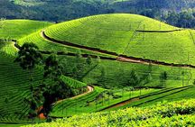 Private Day Trip to Munnar from Kochi (Cochin)