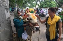 Bangalore Full-Day city tour with traditional Breakfast & Lunch
