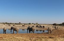 Namibia Express Safari - 6 Days