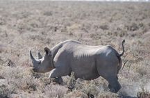 Namibia Express Safari - 6 Days