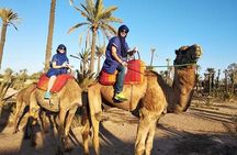 Overnight Luxury Desert Trip Form Fez To Fez