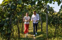 WINE & DINE Tour from Kutaisi