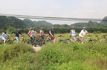 Ninh Binh & Cuc Phuong National Park 2 Days Tour