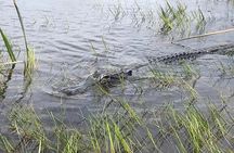 Everglades Airboat Safari Adventure with Transportation