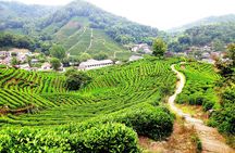 All-Inclusive Private Day Tour to Hangzhou by Bullet Train